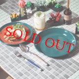 ネイタルデザイン CURRY PLATE 20 OUTDOOR STORE Ver. TEAL GREEN