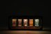 画像4: WANTKEY 38kt HAUS5 WANTKEYexclusive (4)