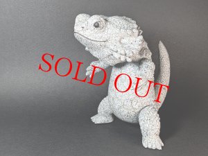 画像1: P@inter Net フトアゴン ストーンクラック(蓄光)