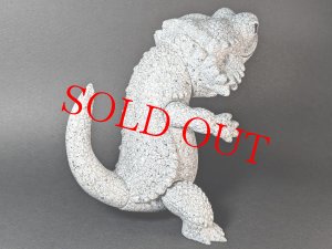 画像4: P@inter Net フトアゴン ストーンクラック(蓄光)