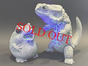 画像10: P@inter Net フトアゴン ストーンクラック(蓄光)