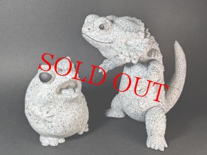 画像6: P@inter Net フトアゴン ストーンクラック(蓄光)