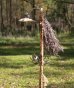 画像5: NATAL DESIGN POLE SNAKE SKIN