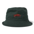 画像1: パンクドランカーズ つちのこHAT green