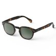 画像1: IZIPIZI SUN #C Tortoise(Green Lenses)