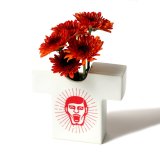 画像: パンクドランカーズ T-VACE 花瓶